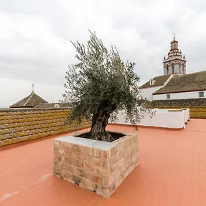 Belvilla By Oyo Casa Palacio De La Carrera Fuentes de Andalucía